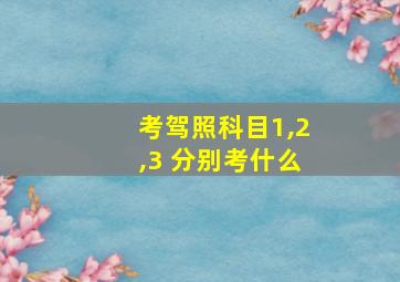 考驾照科目1,2,3 分别考什么